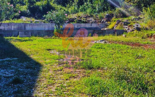 Tivat / Djurasevici: Land Opportunity! ARS0007123