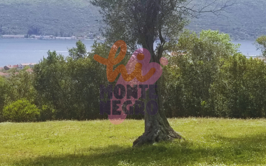 Đenovići: Excellent Land Opportunity! ARS0007124