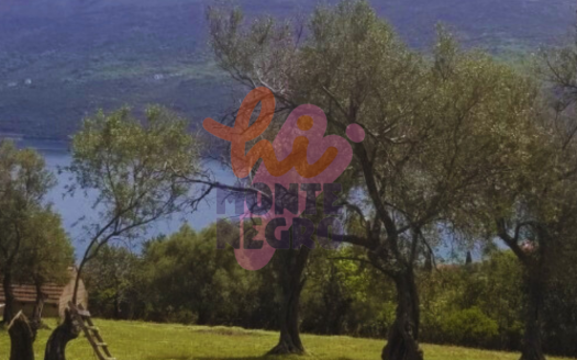 Đenovići: Excellent Land Opportunity! ARS0007124